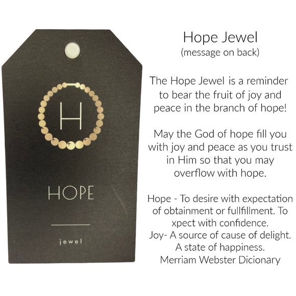 Rhema Jewels Swarovski Jet Earring - Picture 4 of 13